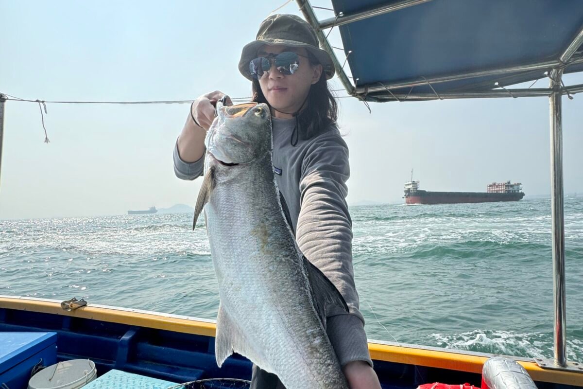 Boat Fileed | Inshore Fishing